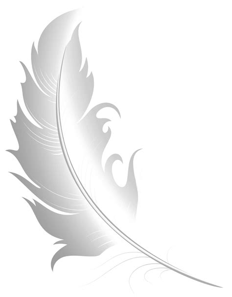 White Feather Free PNG Image