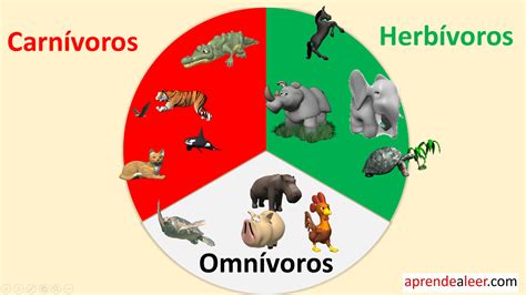 Animales Carnívoros Herbívoros Omnívoros | aprendealeer.com