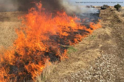 Prescribed burning beneficial to Texas lands - Texas Farm Bureau