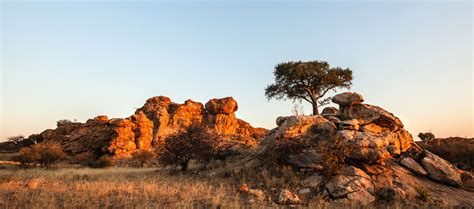 Exclusive Travel Tips for Your Destination Tuli Block in Botswana