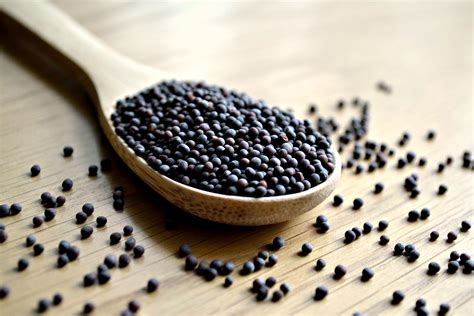 Black Mustard Seeds - Anthony The Spice Maker