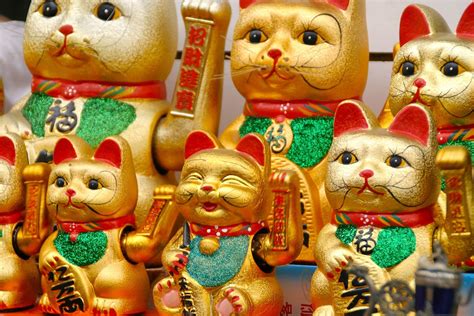 Japanese Lucky Cat Wallpaper (48+ images)