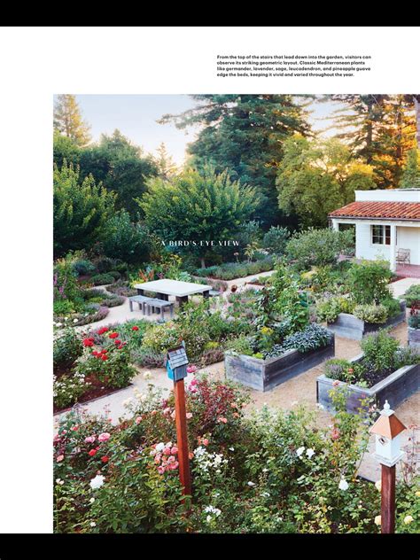 14 Martha Stewart Gardening 101 Ideas You Gonna Love | SharonSable