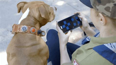 Talking Dog Collar with Bluetooth Control - Becky Stern