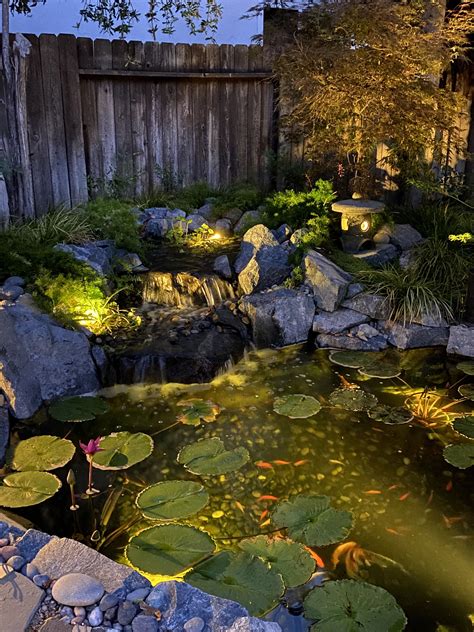 Japanese Garden Lighting, Japanese Garden Landscape, Water Lily Pond ...