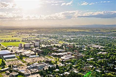 Montana State University, Bozeman | Montana state university, Montana ...