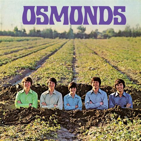 One Bad Apple - song and lyrics by The Osmonds | Spotify