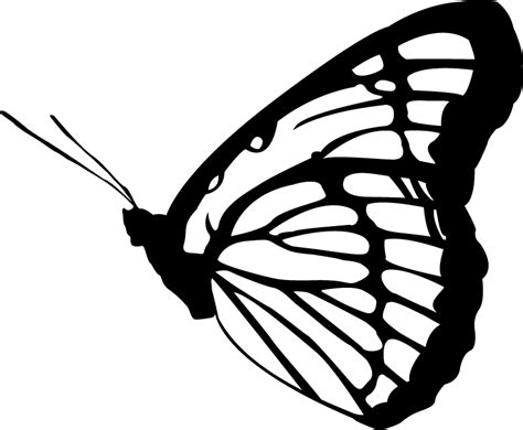 Butterfly Vector Art - Cliparts.co