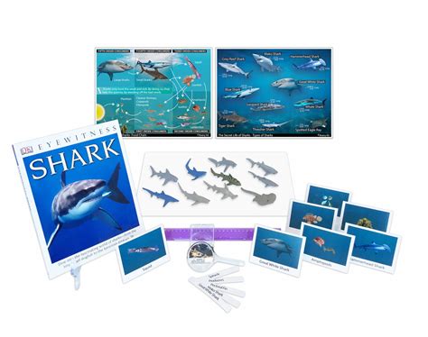 The Secret Life of Sharks: Ages 8 - 11 - Get Brainy Box