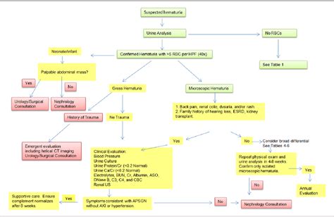 Pediatric Hematuria Remains a Clinical Dilemma | Semantic Scholar