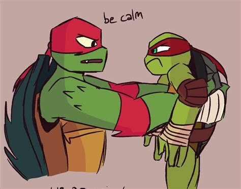 Raphael Tortuga Ninja, Raphael Ninja Turtle, Raphael Tmnt, Turtles Forever, Tmnt Comics, Teenage ...