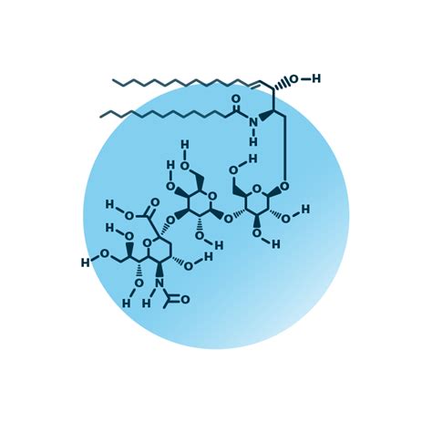 GM3 Ganglioside Analysis | Lipid Analysis | Lipotype GmbH