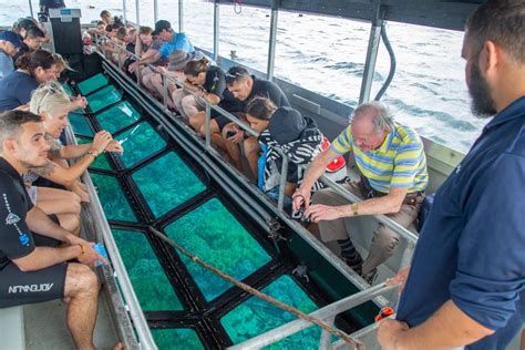 Day Tours with Glass Bottom Boats - Cairns-Tours