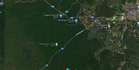 How to get to Aokigahara Forest from Tokyo? – Japan Horizon