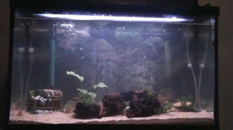 Fish Tank Setup - YouTube