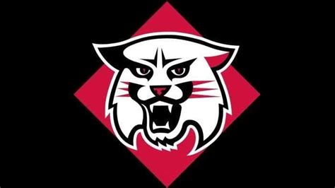 Davidson Wildcats Logo, symbol, meaning, history, PNG, brand