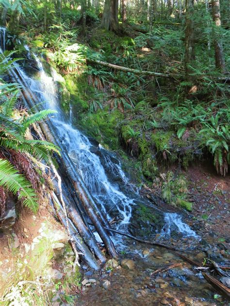 Gales Creek Campground | wanderingyuncks