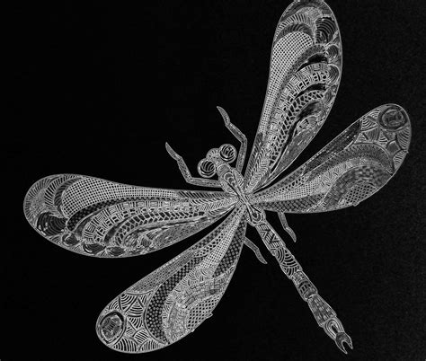 Black And White Dragonfly Sketch Free Stock Photo - Public Domain Pictures