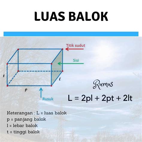 26+ Cara Membuat Kubus Dan Balok Dari Karton