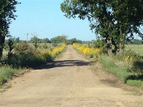 Old Dirt Road | Country roads, Road, Pretty places