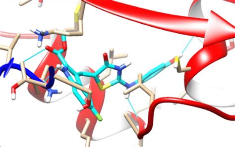 Interaction of the compound 2c with the colchicine binding site of ...