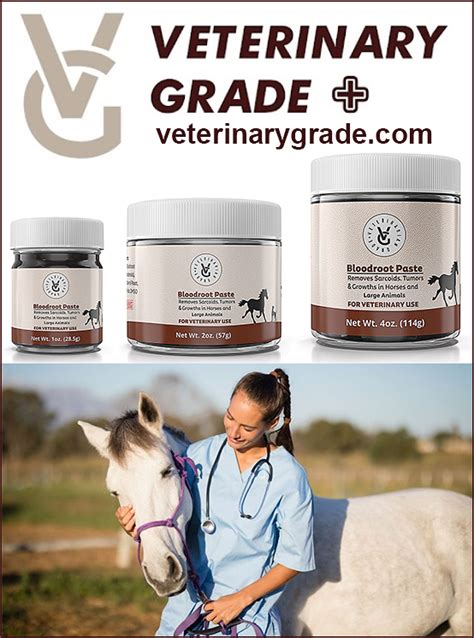 Article - Sarcoid Treatments for Horses