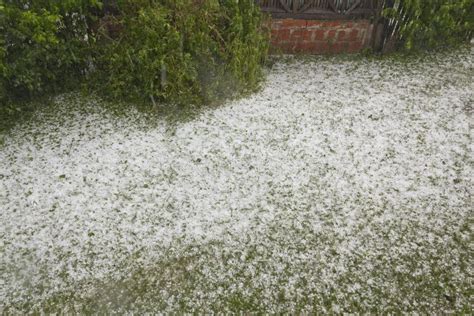 Hail Storm Disaster stock image. Image of hailing, frozen - 24931685