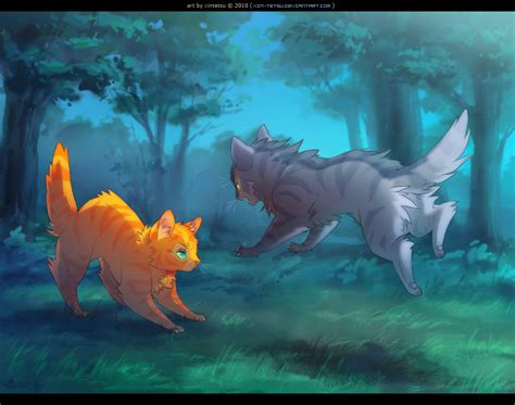 Rusty vs Graypaw. | Warrior cats, Warrior cats art, Warrior cats books