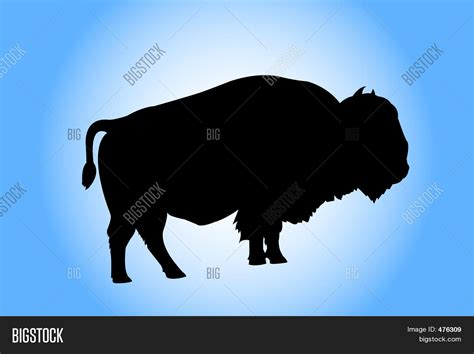 Bison Silhouette Image & Photo (Free Trial) | Bigstock