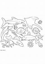 Ocean Habitat Coloring Page sketch template