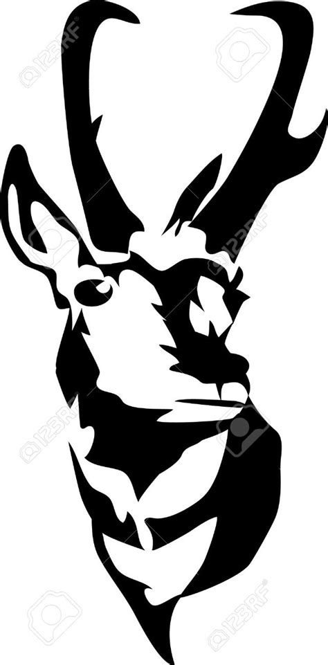 Pronghorn clipart 20 free Cliparts | Download images on Clipground 2024