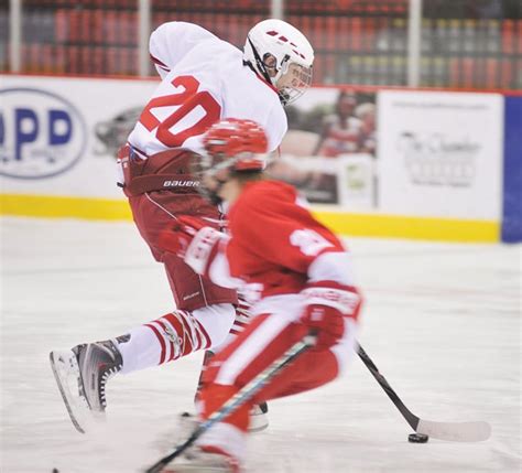 Luverne edges out Austin boys hockey team - Austin Daily Herald | Austin Daily Herald