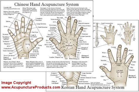 Chinese and Korean Hand Acupuncture Chart