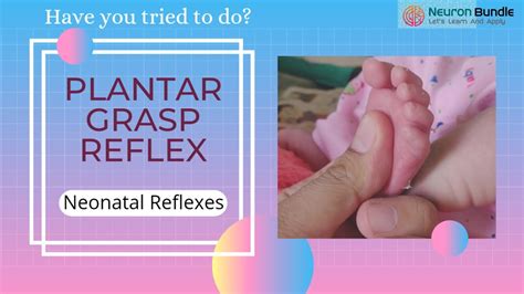 Plantar Grasp Reflex | Hot Sex Picture