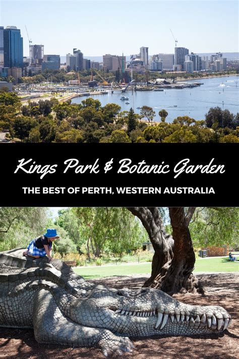 Kings Park & Botanic Garden: The Best of Perth, Western Australia - Adventure, baby!