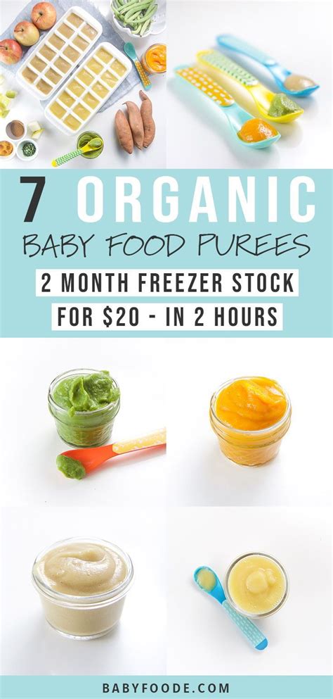 7 organic baby food recipes for $20 complete guide – Artofit