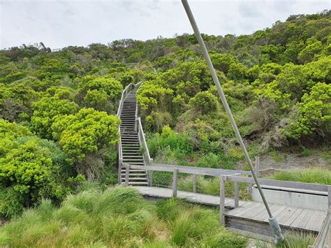 PORT CAMPBELL DISCOVERY WALK : Ce qu'il faut savoir