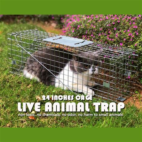 Live Animal Trap Cage Humane Cat Trap Rabbit Trap Humane Mouse Trap ...