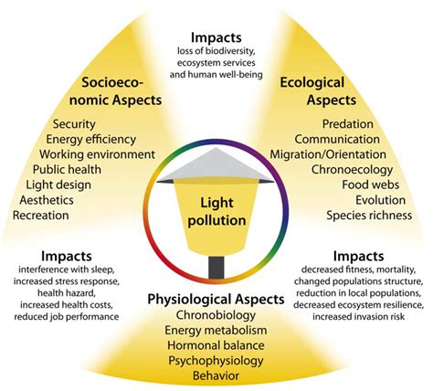 FAQ What is Light Pollution? | WLS Lighting Systems