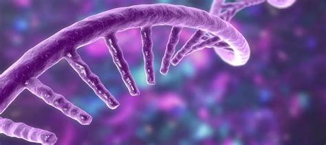 Test Your Knowledge of Gene Therapy (Quiz) | Eureka blog