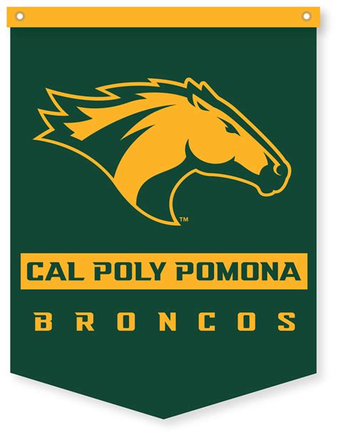 Banner Cal Poly Pomona Broncos W/Gold Header 18 X 24 | Bronco Bookstore