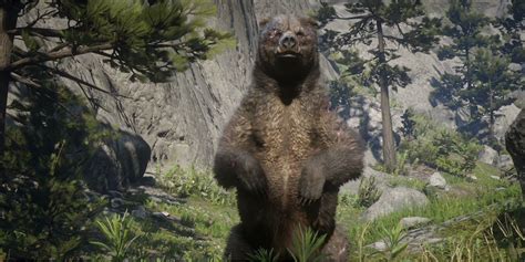 The 15 Most Difficult Red Dead Redemption 2 Legendary Animals To Hunt