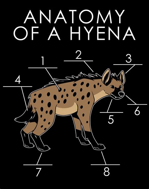 Anatomy of a Hyena by artwork-tee on DeviantArt