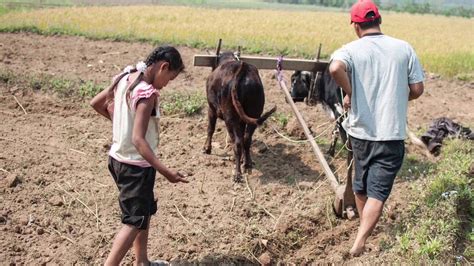 The State of Nepal’s Forests - YouTube