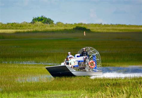 Miami: Everglades River of Grass Small Airboat Wildlife Tour | GetYourGuide