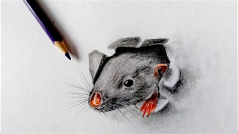 How to draw realistic 3d rat coming through paper. - YouTube