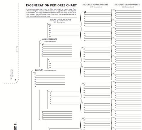 8 Generation Pedigree Chart Printable