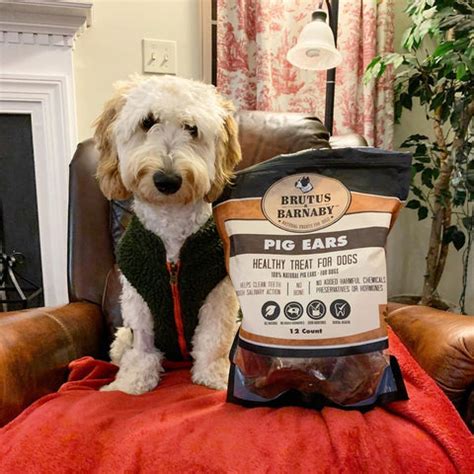 Our Pig Ears Recall of 2019 - How We Became One Of The Highest Quality Pig Ear Dog Treats On Amazon