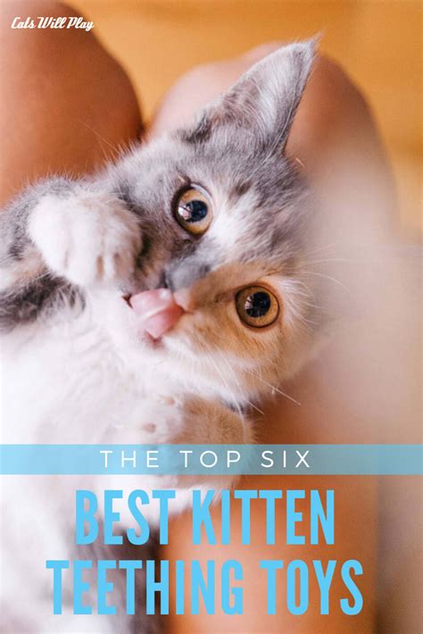 The Top Six Best Kitten Teething Toys - Cats Will Play