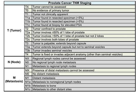 Tumor: Tumor Staging